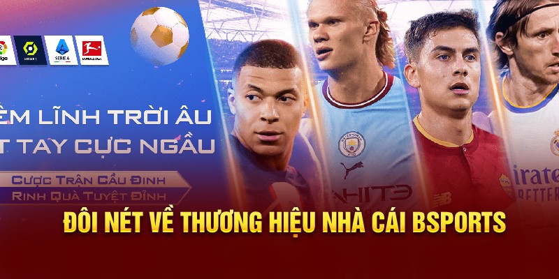 Đôi nét về thương hiệu nhà cái Bsports