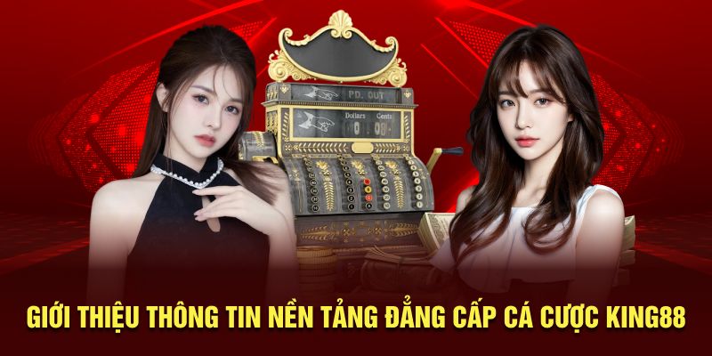 Giới thiệu thông tin nền tảng đẳng cấp cá cược King88