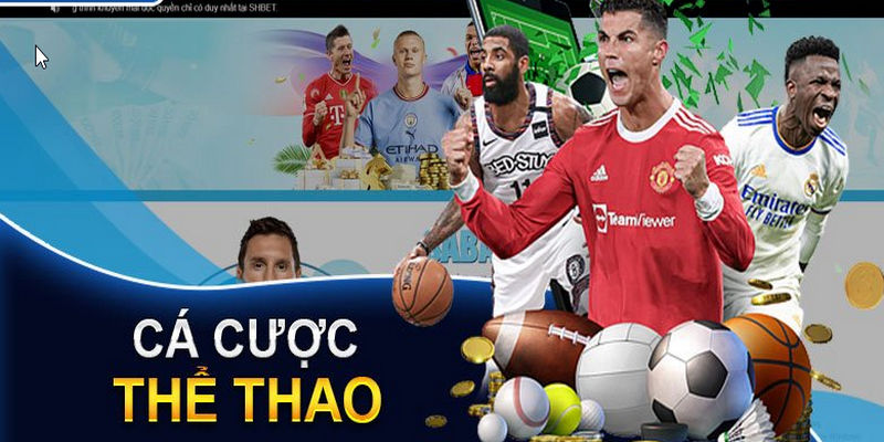 Thể thao đặc sắc và thú vị